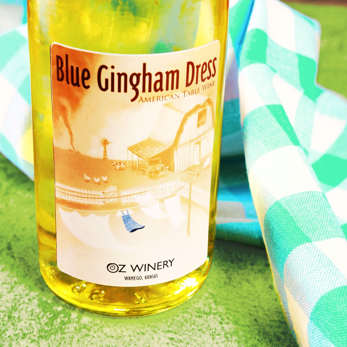 Blue Gingham Dress Test